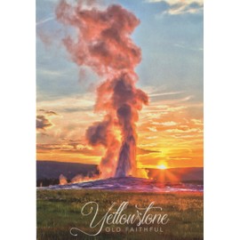 Lunch Money Yellowstone National Park Postcard Pack of 3 Postcards Featuring the Lower Falls of the Grand Canyon, the Fountain Paint Pot, and Old Faithful