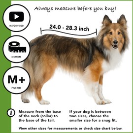 Suitical Recovery Suit Dog, Medium Plus, Black