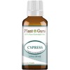 Cypress Essential Oil 30 ml / 1 oz 100% Pure