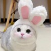 Funmo Pack of 2 Pet Rabbit Ear Hat Cat Dog