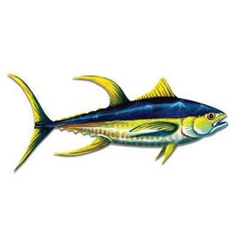 GT Graphics Yellowfin Tuna - 8" Vinyl Sticker - for Car Laptop I-Pad - Waterproof Decal