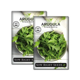 Sow Right Seeds - Arugula Seeds for Planting - Non-GMO Heirloom Seeds with Instructions to Plant a Home Vegetable Garden - Indoors, Hydroponics or Outdoors - Salad Greens - Grow Kitchen Herbs (2)