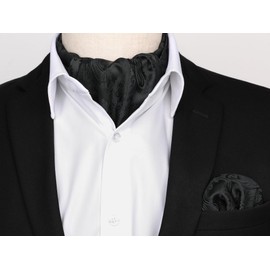 HISDERN Men's Cravats Silk Black Ascot Tie and Pocket Square Set Paisley Cravat with Handkerchief for Wedding Party Business