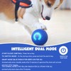 2pcs Bouncing Ball For Dogs,Interactive Dog Toys With Led Flash
