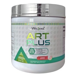 Artplus 450gr De Welall Suplemento A Base De Colágeno Sandía