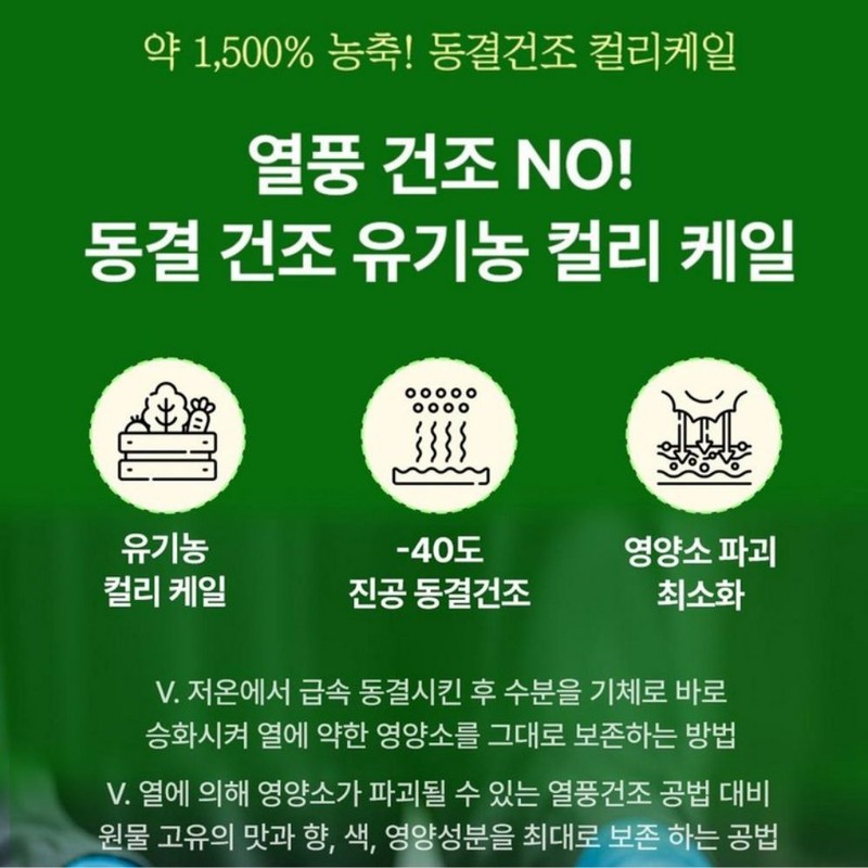 케어플러스 유기농 컬리케일 100% 동결건조 곱슬케일 분말 가루 스틱, 28g,