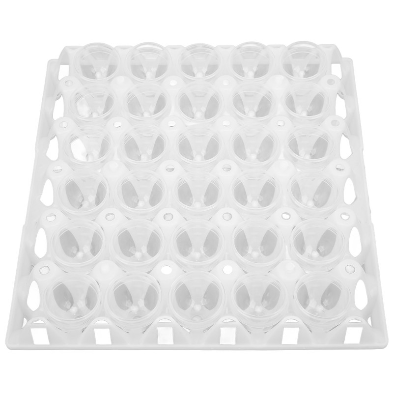 Eggshell and Egg Tray Model Safe Prevent Leakage Eggs Making
