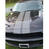 ORACAL 18" CHARCOAL METALLIC rally stripes decals fits any yr