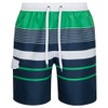 Mareno® Men's Swimming Trunks, Black Check - Striped Green, size: