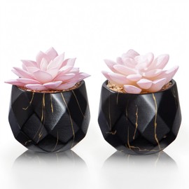 ZENIDA Artificial Succulent Plants in 2 Black Ceramic Pots, Cute Fake Plants for Vanity Decor, Office, Desk, Bathroom, Kitchen, Bedroom, Shelves Decor for Women, Girls Gift