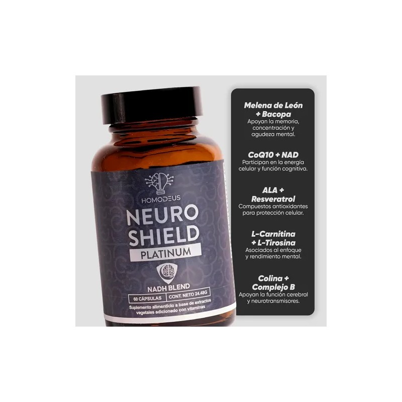 Nootrópicos Memoria Concentración Protección Neuronal