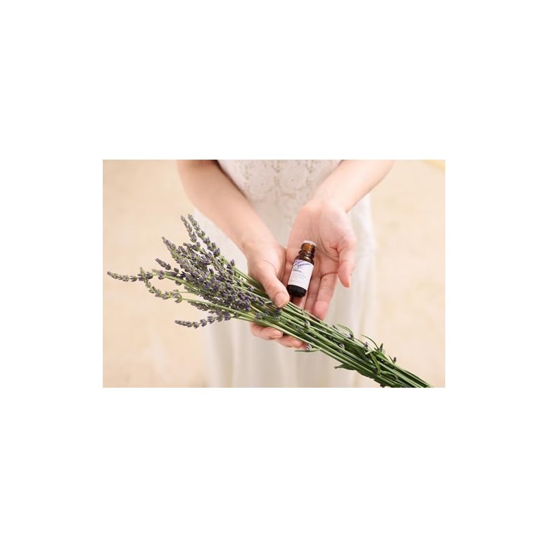 Marjoram (Sweet) 10ml NATURELLE Natural Essential Oil