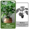 Monstera Plant Support, Stabilizer Supports Stakes for Indoor Plants, Plant