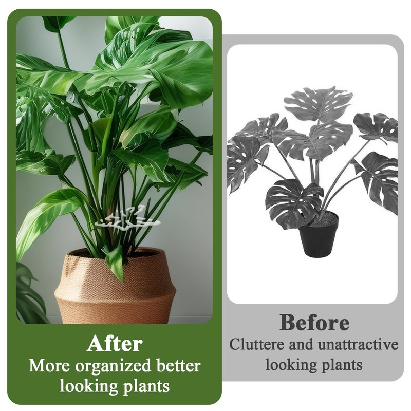 Monstera Plant Support, Stabilizer Supports Stakes for Indoor Plants, Plant