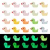 Beadthoven 50pcs Glow in The Dark Duck Beads Resin Large
