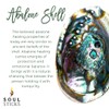 Soul Sticks Abalone Shell for Smudging 4–6" with Wooden Tripod