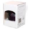 30028 Souvenir Snow Globe Germany Culture City Erfurt