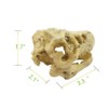 XIZHI Aquarium Decorated Skeleton Hole Resin Artificial Dinosaur Skeleton Ornament