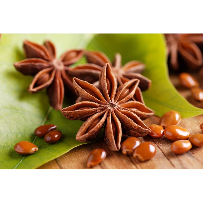 Ladybug Spot Luxury Natural Solid Perfume 0.4 OZ (LAVENDER &