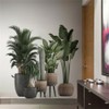Condessacity Wall Stickers, Plants, Greenery, Potted Plants, Greenery, Scenery, Removable