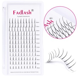 FADLASH Spike Lash Extensions Mixed Tray Premade Spikes Eyelash Extensions Single Super Thick Eyelash Spikes Individual Lashes Fairy Eyelashes (C Curl, 8-14mm)
