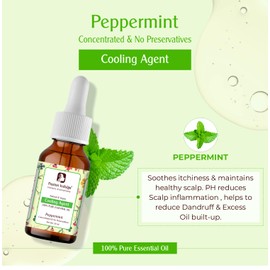 Passion Indulge Peppermint Essential Oil - 10 ml 100% Pure
