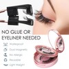 Magnetic Eyelashes, Natural Look, Double Magnetic False Eyelashes without Eyeliner