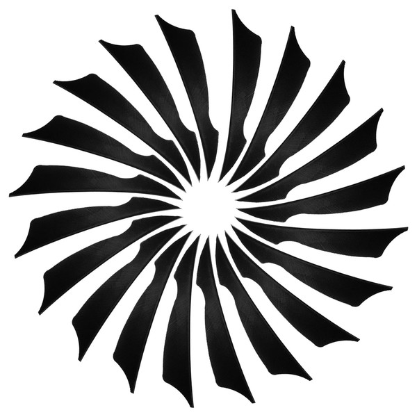 PATIKIL 4 Inch Arrow Vanes, 20 Pack Turkey Feather Fletching