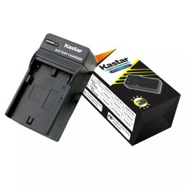 Kastar NB-10L Travel Charger for Canon PowerShot G1 X G3 X G15  G16, SX50 HS, SX60 HS