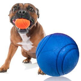 Petopedia 1x Solid Core – HIGH BOUNCING Rubber Ball – Interactive, Virtually Tough Indestructible Dog Toys for Boredom, Strong Balls, Fetch Play, Teething, Training (Blue, 6cm)