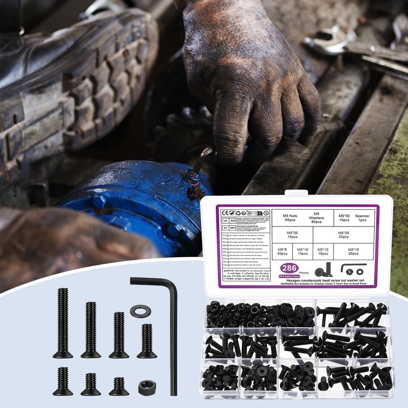 286 Pcs M5 Screws Set, M5 Bolts and Nuts Set,