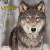 Wolves 2024: Kalender 2024 (Wonderful World)