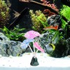 WishLotus Glowing Effect Fish Tank Decorations, Silicone Lotus Leaf Aquarium