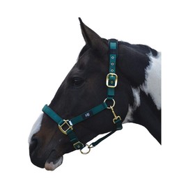 Hy Deluxe Padded Head Collar: Green: cob