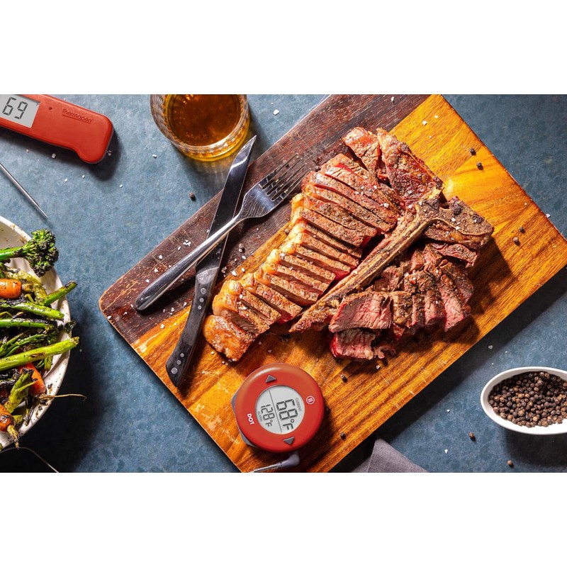 ThermoWorks DOT — Chefs’ Favorite Simple Alarm Thermometer - Dove