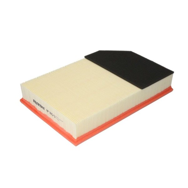 Filtron Air filter, ap165/3