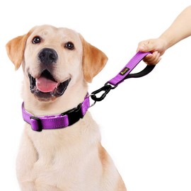 PLUTUS PET 10” Short Dog Leash, Reflective Nylon Padded Handle, Strong Traffic Leash with Carabiner Clip, Perfect for Large or Medium Dogs（10”，Purple