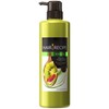 Hair Recipe Rinse Treatment kiuienpawa-boryu-muresipi Body Pump G