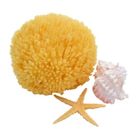 Sea Sponge 5"-6"-Natural Sponge-Bath Sponge-Soap Making Embeds-Craft Supplies