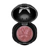 Anna Sui NEW 실키 아이컬러 NEW Silky Eye Color
