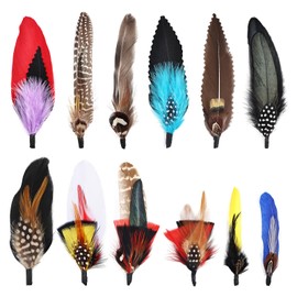MehelloFeather Hat Feathers 12 PCS Natural Feathers Mixed Assorted Hats Feathers for Cowboy Hat Fedoras Trilby Hats Panama Hat DIY Costumes Decorations