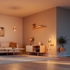 OSRAM Vintage Pendant Light, Dark Grey, Individual Light Scenarios, Stainless