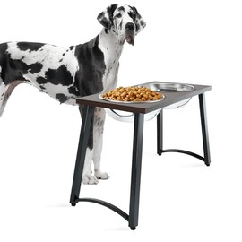 Cuencos elevados para perros extra grandes con 2 cuencos de acero inoxidable XL para perros -3000 ml (100 oz), soporte elevado para cuencos para perros de 14 pulgadas de alto, cuencos para