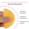 HUAXIN BIOTECHNOLOGY 50-Count Compressed Facial Sponges,100% Natural Cellulose Cosmetic Facial