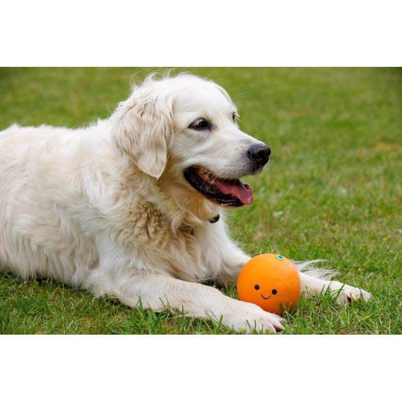 Petface Latex Orange Soft Chew Dog Toy, Large