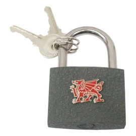 Red Welsh Dragon Engraved Padlock Love Lock Wedding Anniversary Valentines Gift Unity Lock Free Engraving 491
