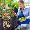YUSHWENPTY Plant Bender Pack of 20 Lst Clips, Plant Clips,