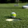 Golf Balls | 12 Training Balls | Sports Accessories with