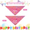 Agroon Blue Dog Birthday Bandana Boy XLarge 1PCS