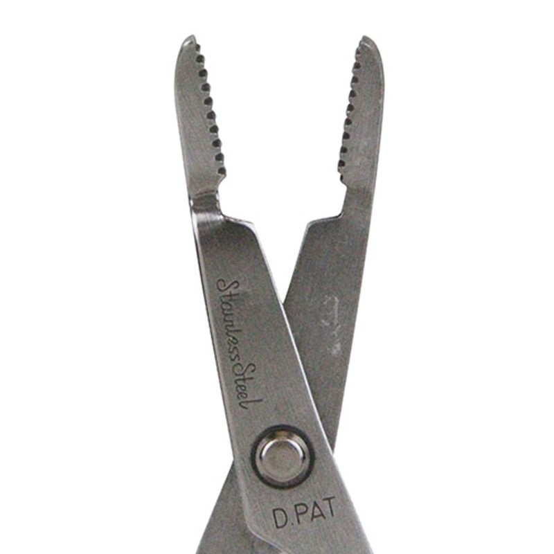 Cactus No.5-A Without grass roots